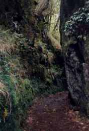 Durchgang vom Ribeiro Frio Tal zum Metade Tal (1996)