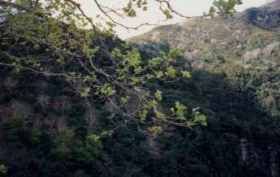 Aussichtspunkt Balcoes - auch V�gel hat es hier (1996)