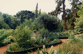 Blumenbeet (Blandy Gardens 1988)