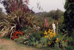 Blumenbeet (Blandy Gardens 1992)