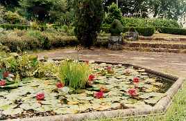 Seerosenteich (Blandy Gardens 1988)