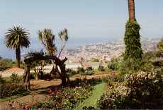 jardim botanico - Blick auf Funchal (1990)