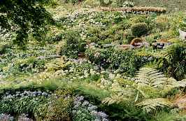 Park von Monte (1988)