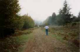 Weg in der Gegend des Poiso Pass (1994)
