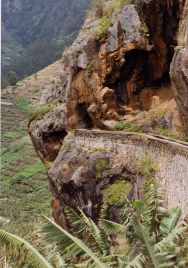 Levada am Abhang im Socorridos-Tal (1990)